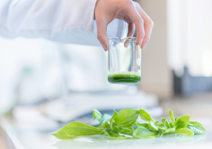 foto Groupe Rocher y Dassault Systèmes emprenden una nueva colaboración para transformar la formulación de cosmética natural con tecnología de gemelo virtual.